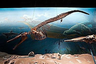 库克与网易CEO丁磊会面 为了观摩一款游戏